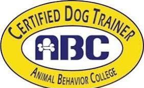 Certified Trainer Animal Behavioral College Best Dog Training in Jonesboro, Arkansas